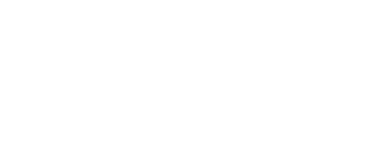 Fluji Logo